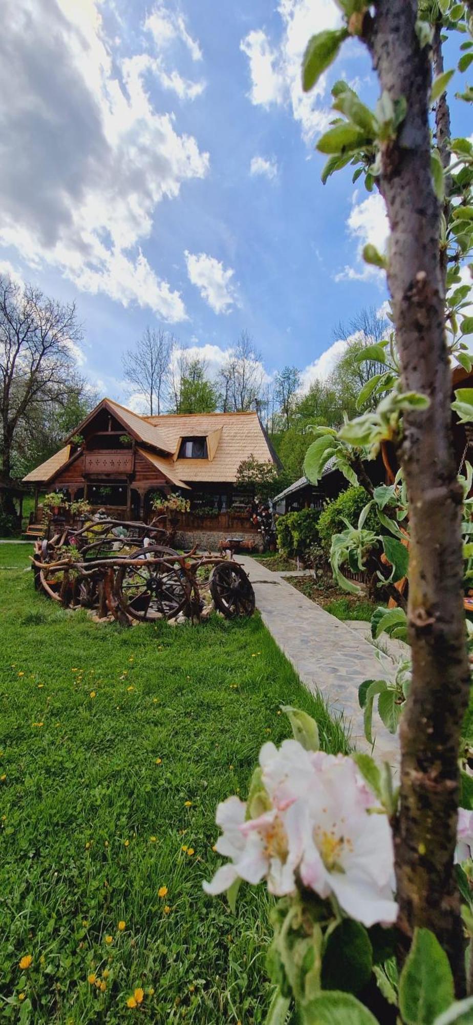 Pensiunea Rustic Oncesti Extérieur photo