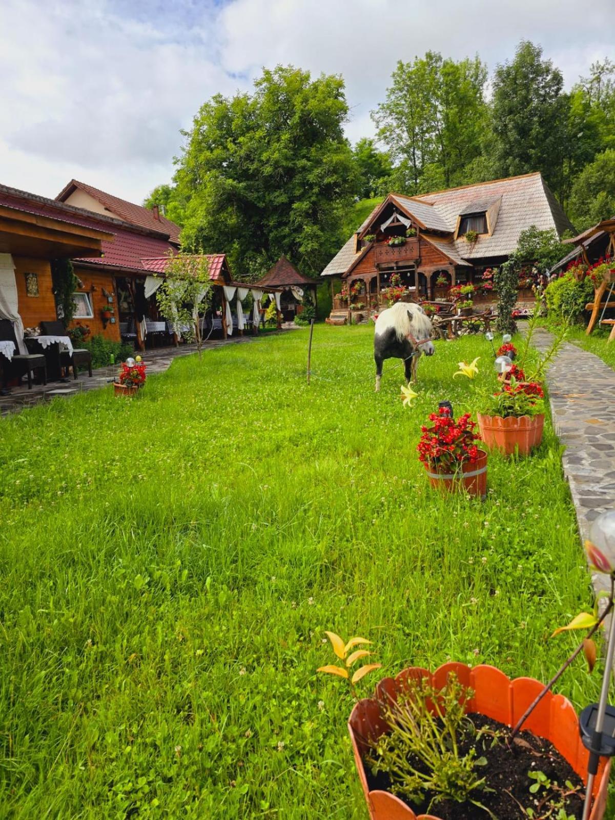 Pensiunea Rustic Oncesti Extérieur photo